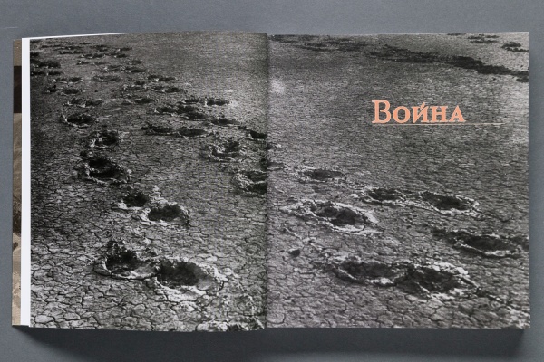 Дикое поле. В вечном движении. Издание к выставке (НП-Принт) (1062,00) купить с доставкой по Москве и России | Официальный интернет-магазин Исторического музея