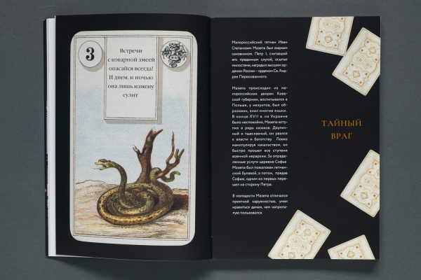Пленники судьбы. Книга. (Типография НП-Принт) (550-35) купить с доставкой по Москве и России | Официальный интернет-магазин Исторического музея
