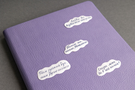 Наклейки 3D  «Цитаты Пушкина» (стикерпак)