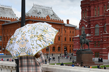 Зонт (трость автоматическая( 2350) ИП Веденина Л.В. Зонт (трость автоматическая( 2350) ИП Веденина Л.В.