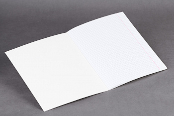 Тетрадь ученическая в ассортименте (ИП Семенова Т.Н.)(95) 