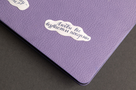 Наклейки 3D  «Цитаты Пушкина» (стикерпак)