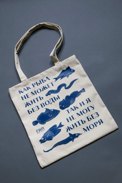 Сумка "Крузенштерн Вокруг света" (370)(ИП Перфильев В.В.)